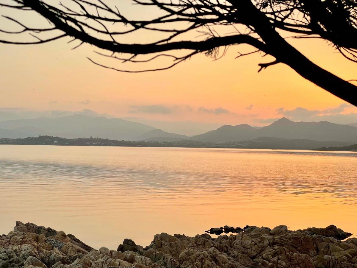 Apartamento San Teodoro Punta Est Curatissimo Bilocale Capo Coda Cavallo Exterior foto